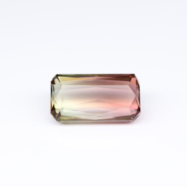 13.71 carat natural bi-color watermelon tourmaline, pink to green color zoning, Internally Flawless (IF), octagon cut.